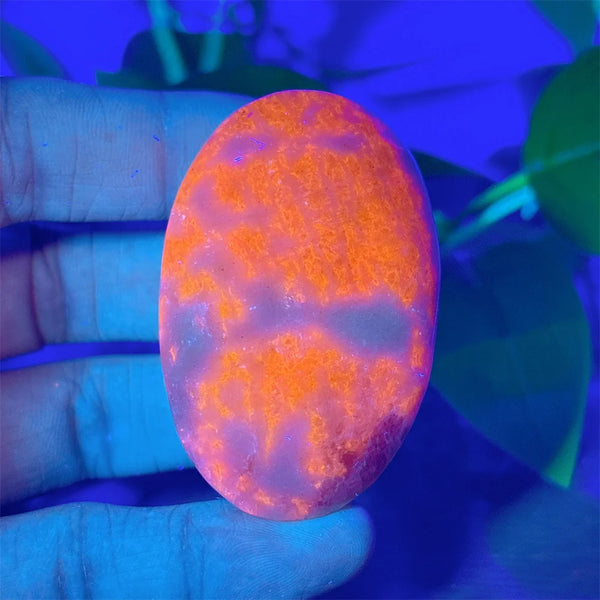 Rainbow Sodalite Palm Stone-ToShay.org