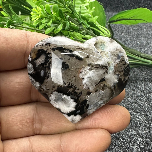 Black Cherry Blossom Agate-ToShay.org