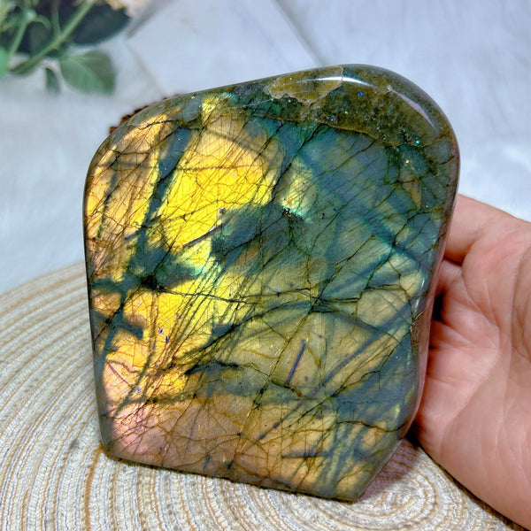 Gold Light Labradorite-ToShay.org