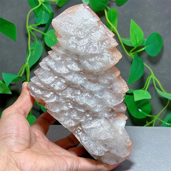 White Melaleuca Calcite Quartz-ToShay.org