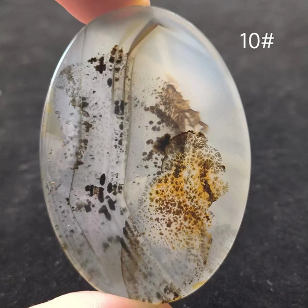 White Onyx Ocean Chalcedony-ToShay.org