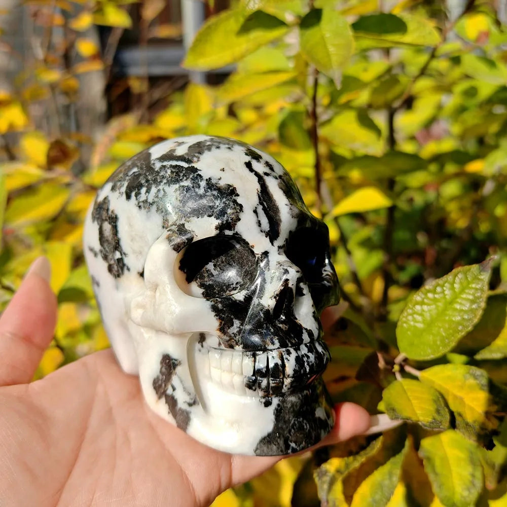 Black White Zebra Jasper Skull-ToShay.org