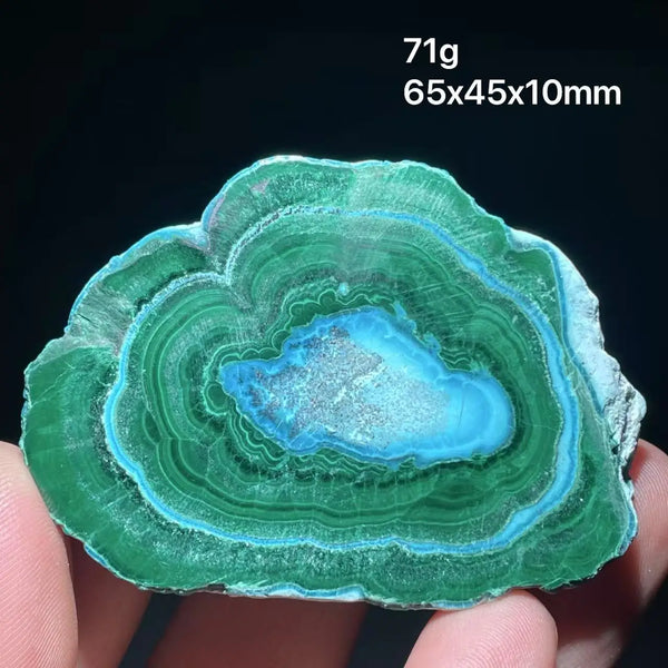 Green Chrysocolla Malachite Slice-ToShay.org