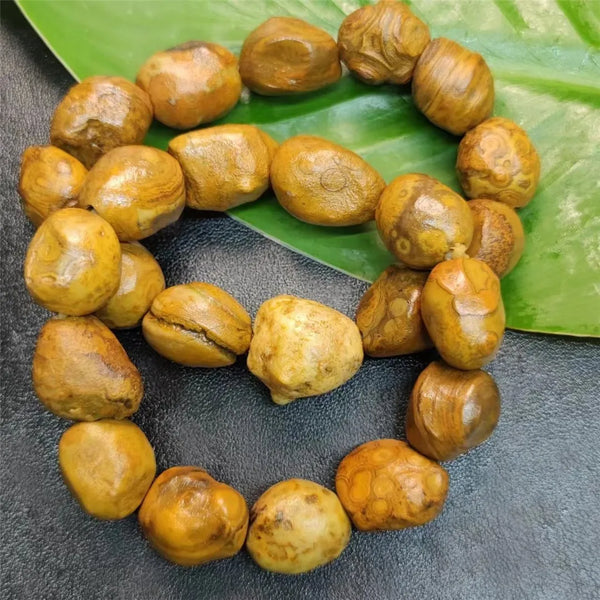 Yellow Money Stone Bracelet-ToShay.org