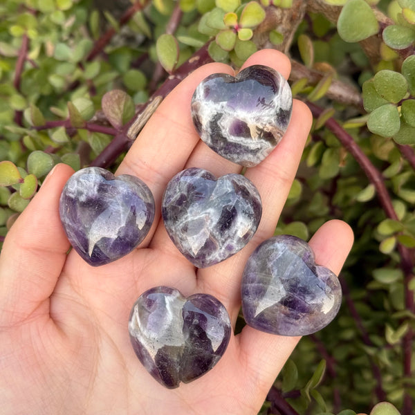 Purple Dream Amethyst Hearts-ToShay.org