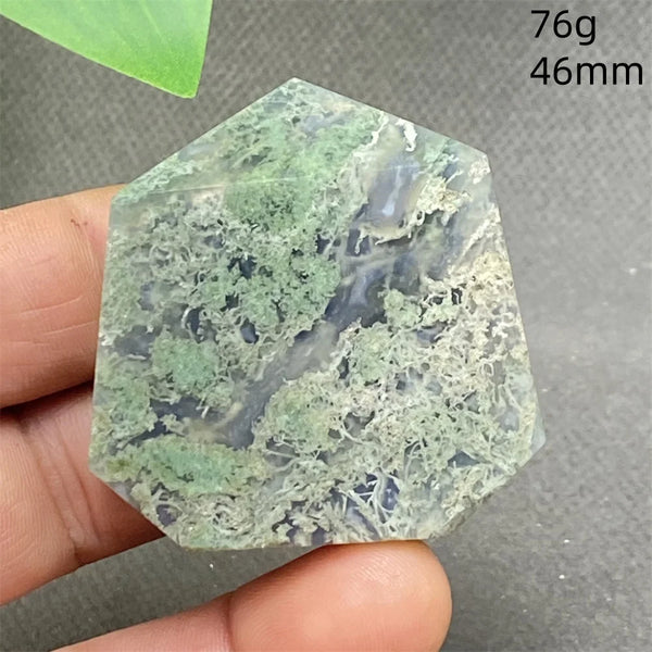Green Water Plant Agate-ToShay.org