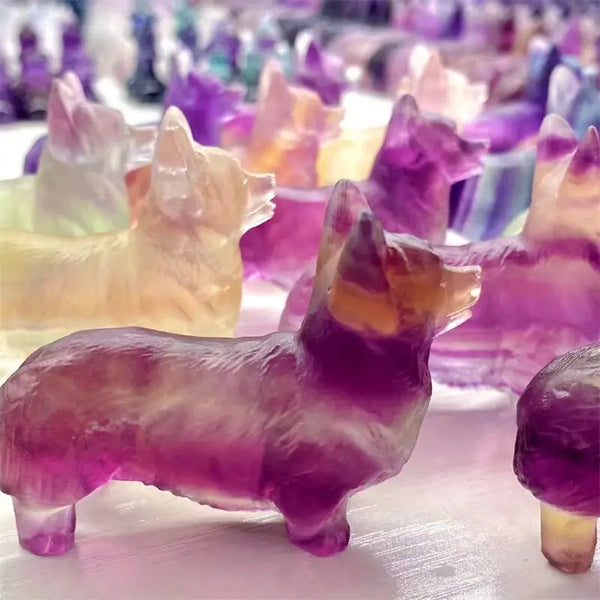 Purple Fluorite Dog-ToShay.org