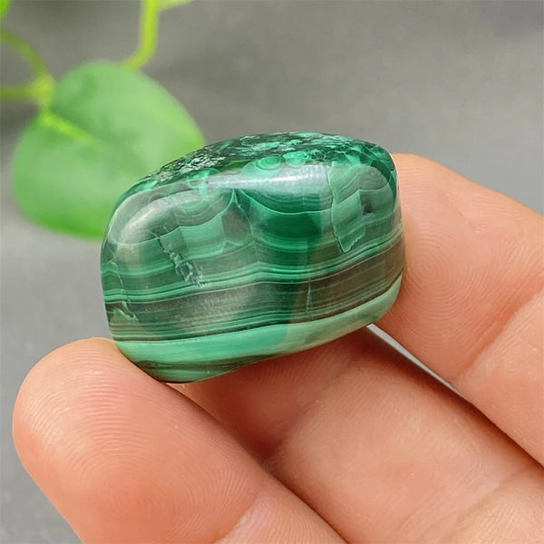 Green Malachite Tumbled Stone-ToShay.org