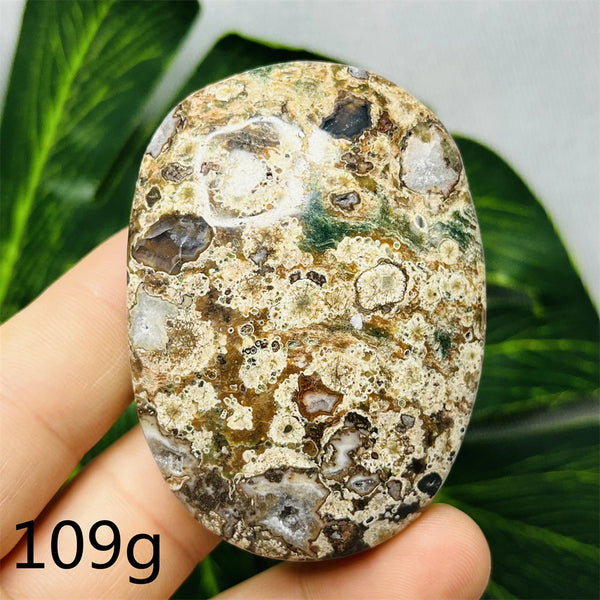 Australian Natural Opal Agate Stone Palmstone Raw Mineral Specimens Home Room Decoration Holiday Gifts Spiritual Healing-ToShay.org