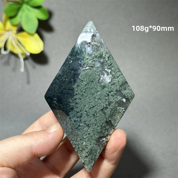 Green Aquatic Plant Agate-ToShay.org