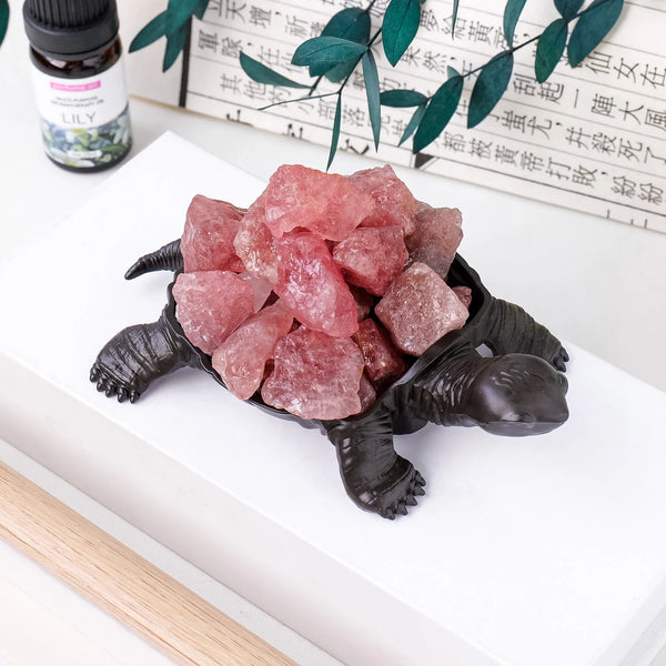 Mixed Crystal Turtles-ToShay.org