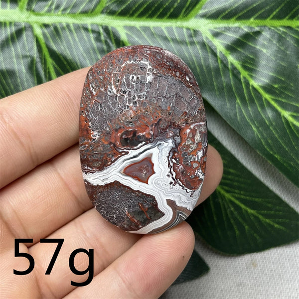 Red Crazy Agate Palm Stone-ToShay.org