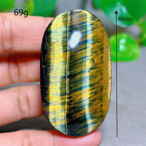 Blue Yellow Tiger Eye-ToShay.org