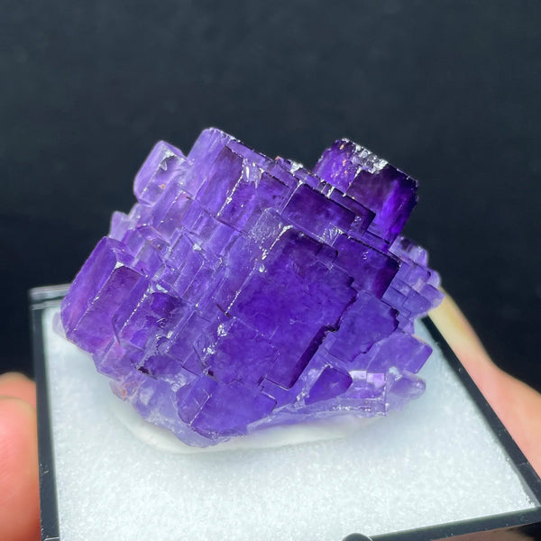 Purple Fluorite Quartz-ToShay.org