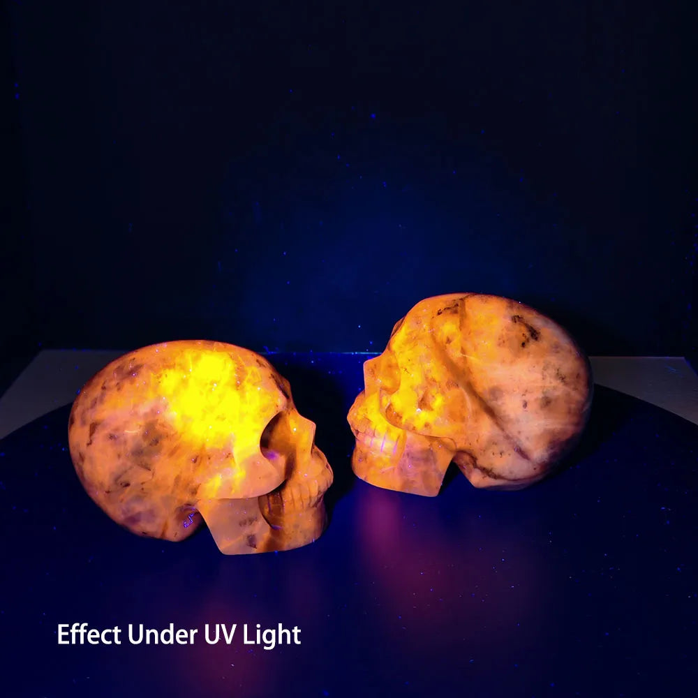 Blue Sodalite Skulls-ToShay.org