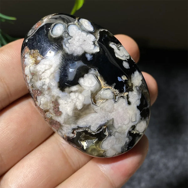 Black Flower Agate-ToShay.org