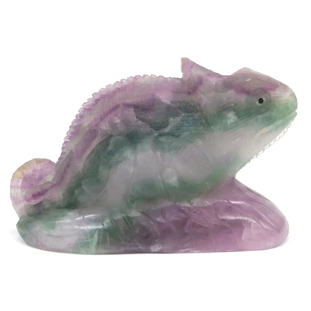 Rainbow Fluorite Lizard-ToShay.org
