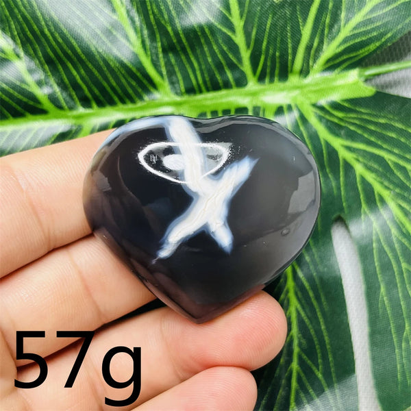 Black White Orca Agate-ToShay.org