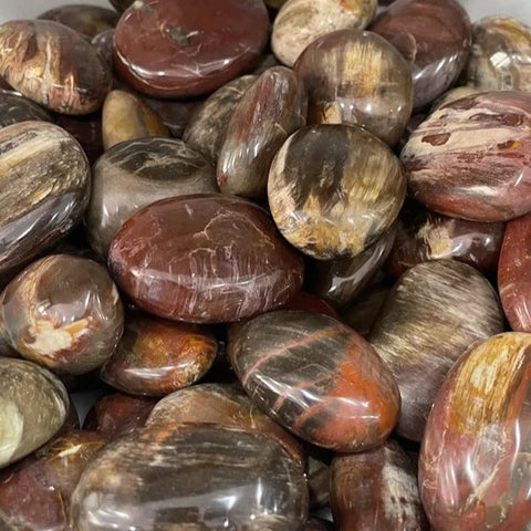 Petrified Wood Palm Stones-ToShay.org