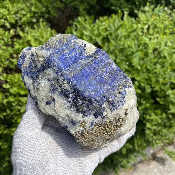 Blue Lapis Lazuli Raw Stone-ToShay.org