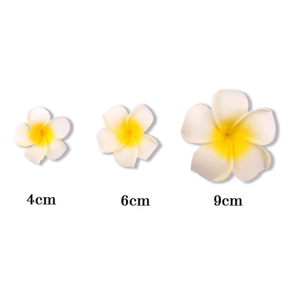 Frangipani Flower-ToShay.org