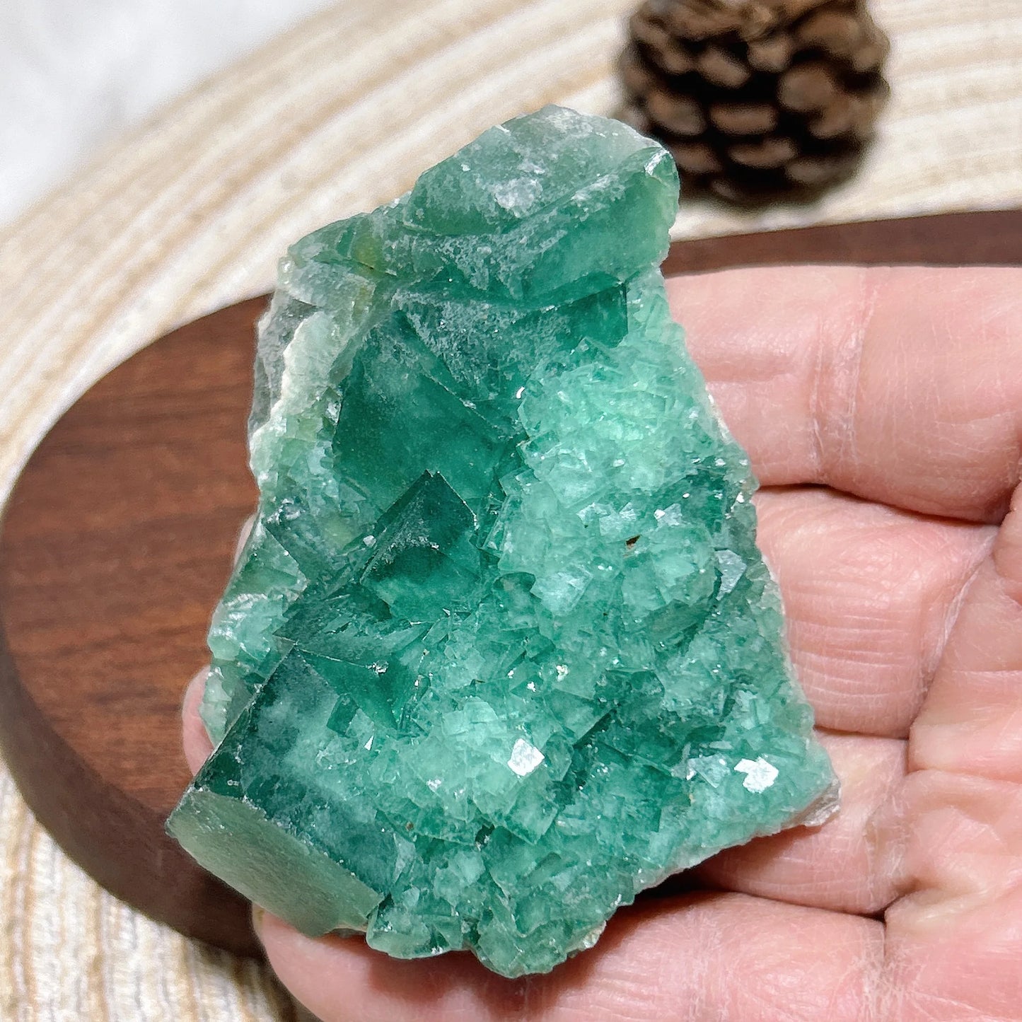 Green Fluorite Raw Stone-ToShay.org