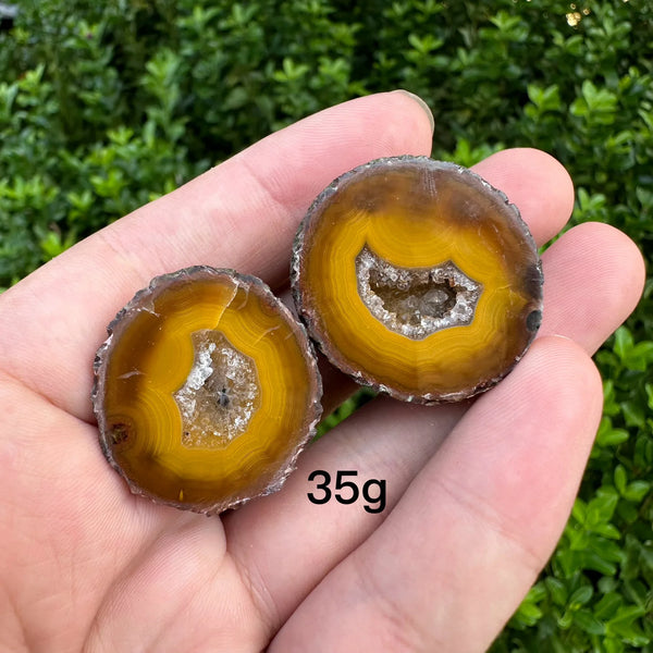 Mixed Agate Crystal Geode-ToShay.org