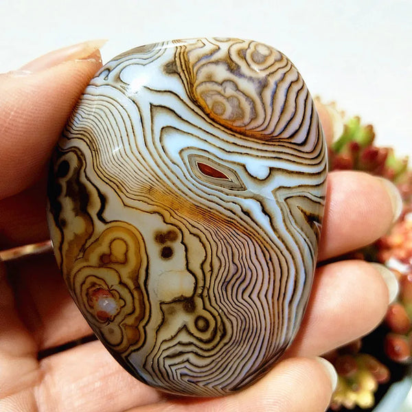 Red Lace Sardonyx Agate-ToShay.org