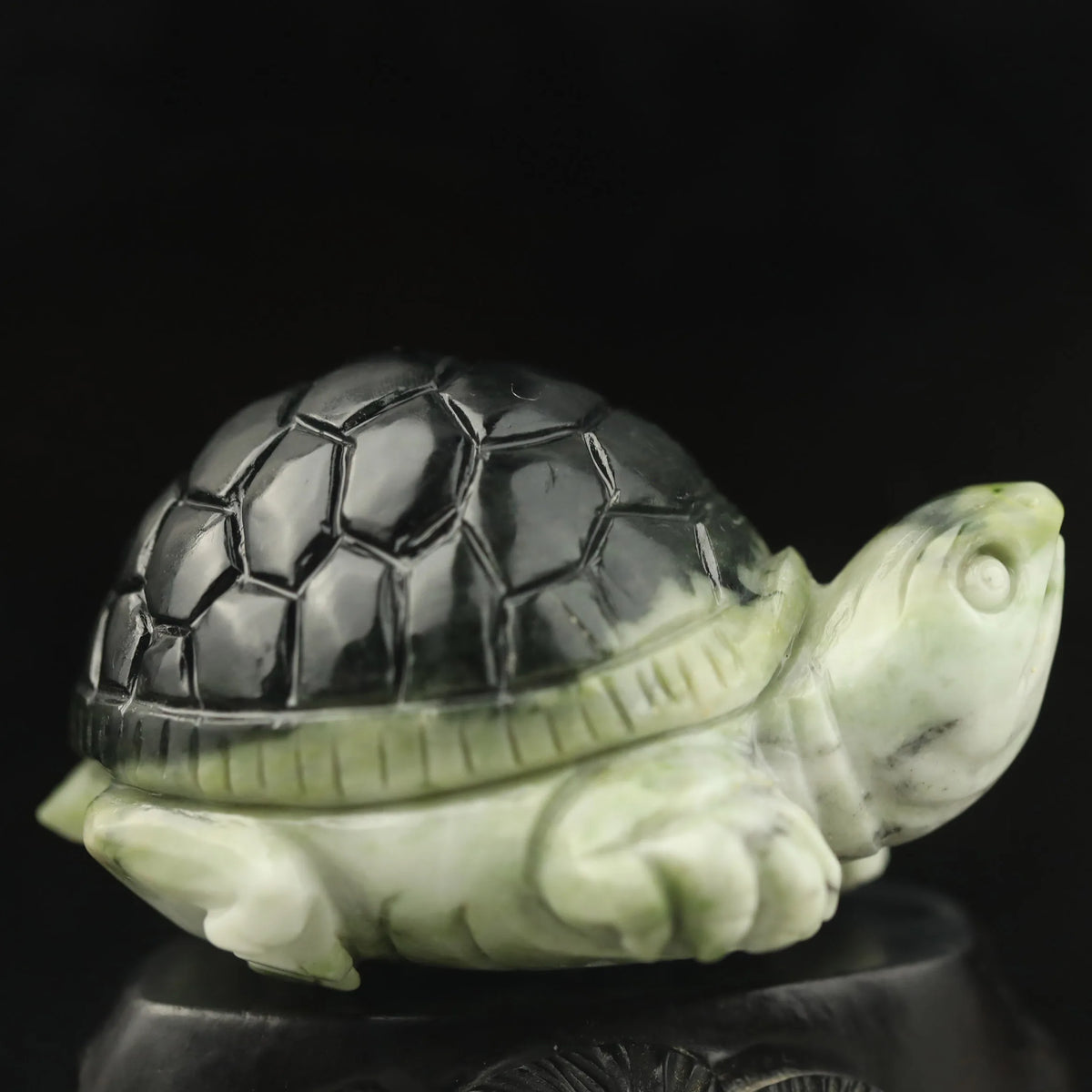 Green Jade Turtle-ToShay.org