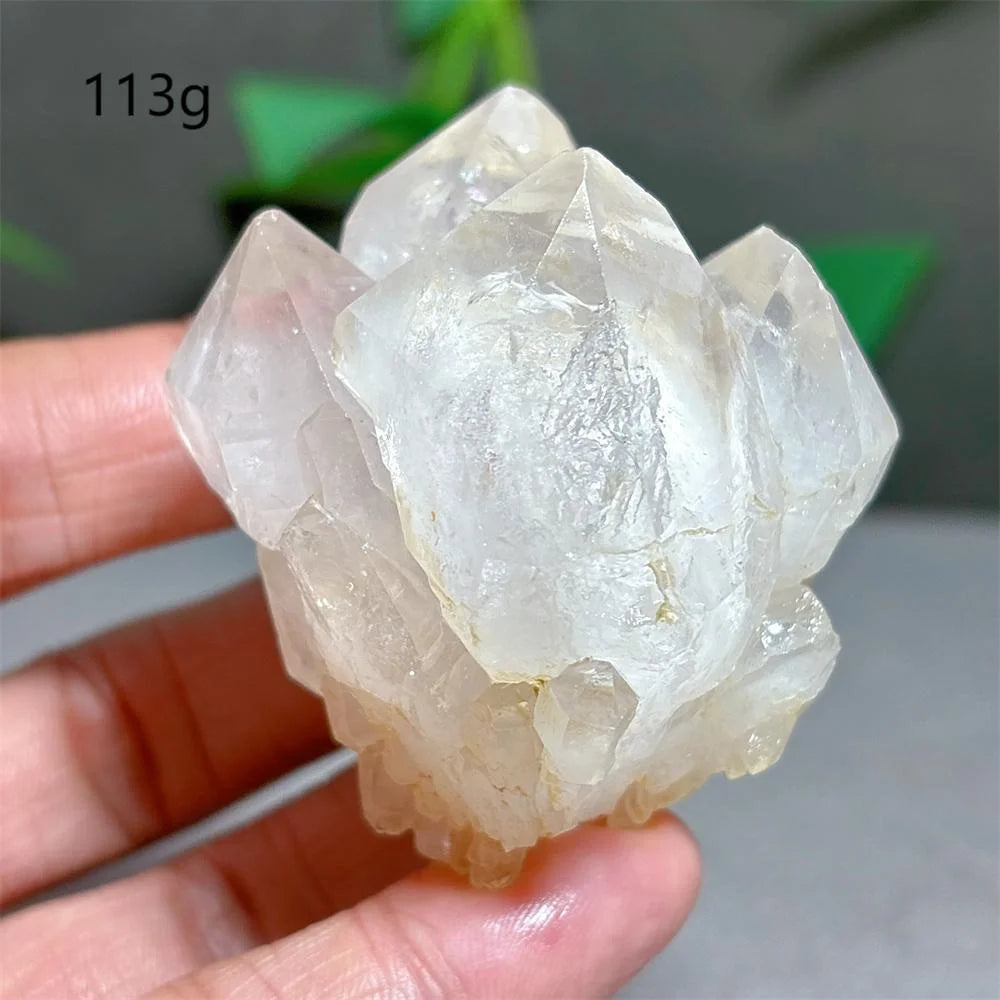 Clear Lotus Backbone Quartz Cluster-ToShay.org