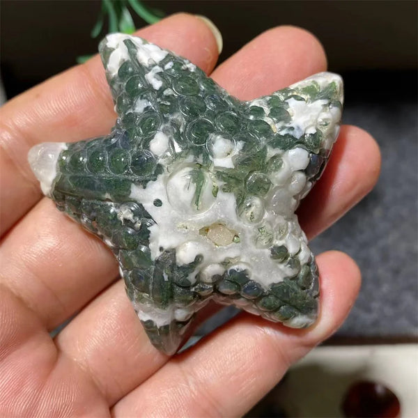 Green Moss Agate Starfish-ToShay.org