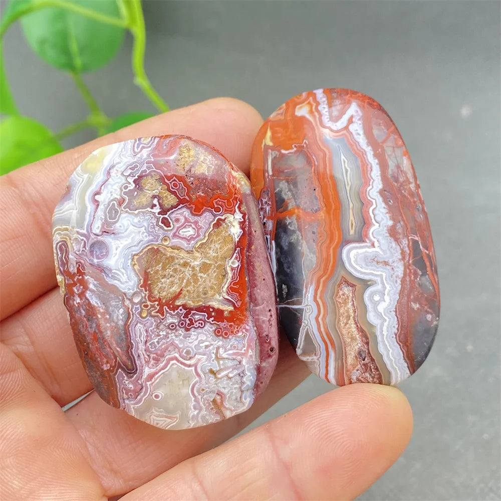Red Lace Crazy Agate-ToShay.org