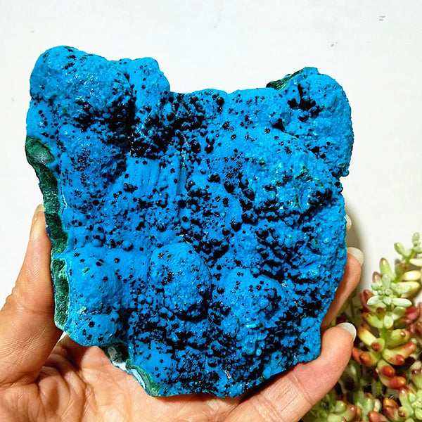 Blue Chrysocolla Crystal-ToShay.org