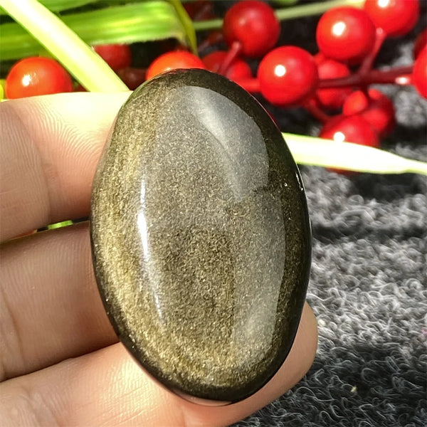 Silver Black Obsidian-ToShay.org