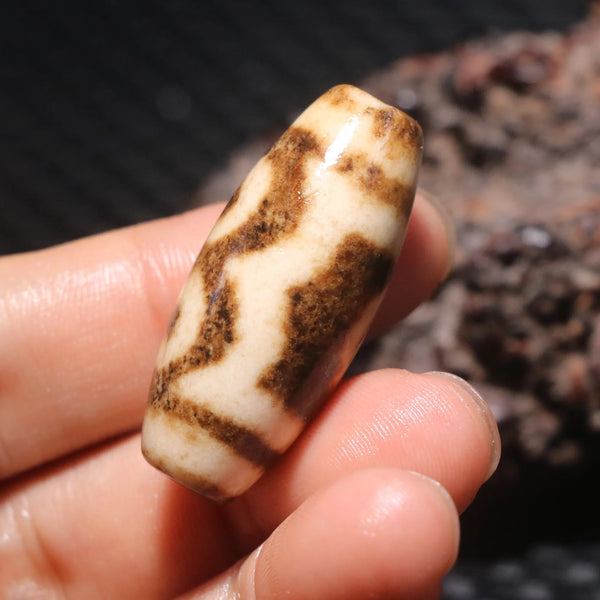 Tibetan Agate Eye Dzi Bead-ToShay.org