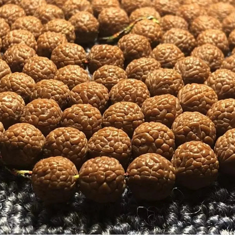 Tibetan Rudraksha Bodhi Beads-ToShay.org