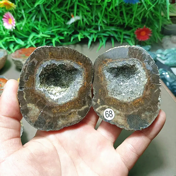Mixed Agate Quartz Geodes-ToShay.org