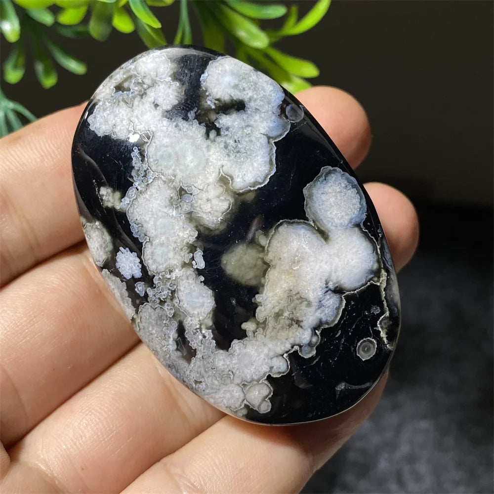 Black Flower Agate-ToShay.org