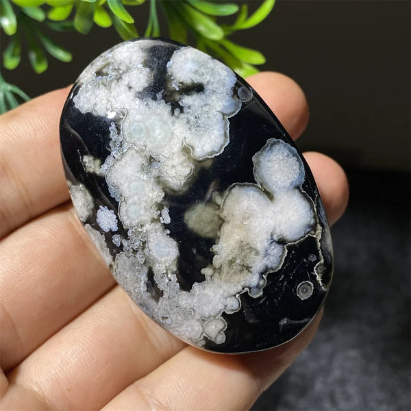 Black Flower Agate-ToShay.org