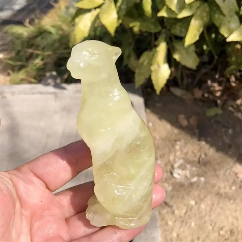 Mixed Crystal Leopard-ToShay.org