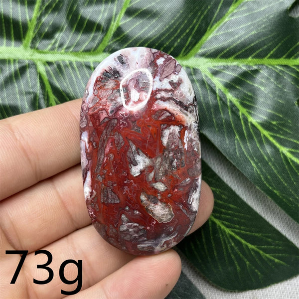 Red Crazy Agate Palm Stone-ToShay.org