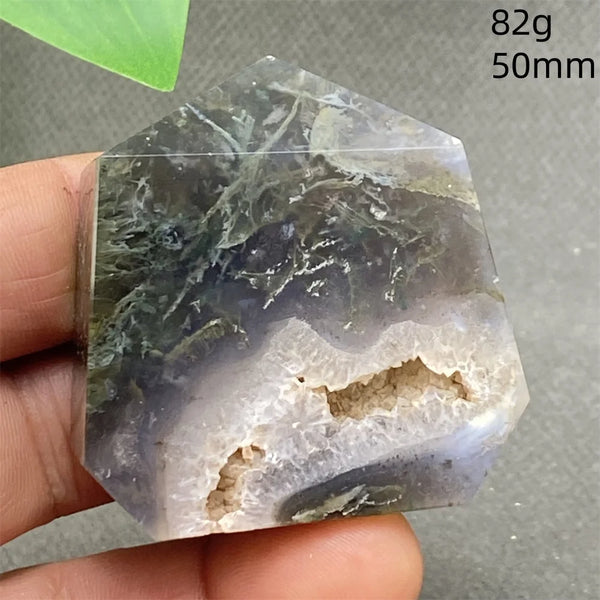 Green Water Plant Agate-ToShay.org