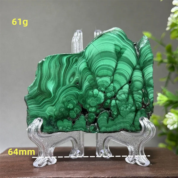 Green Malachite Slice-ToShay.org