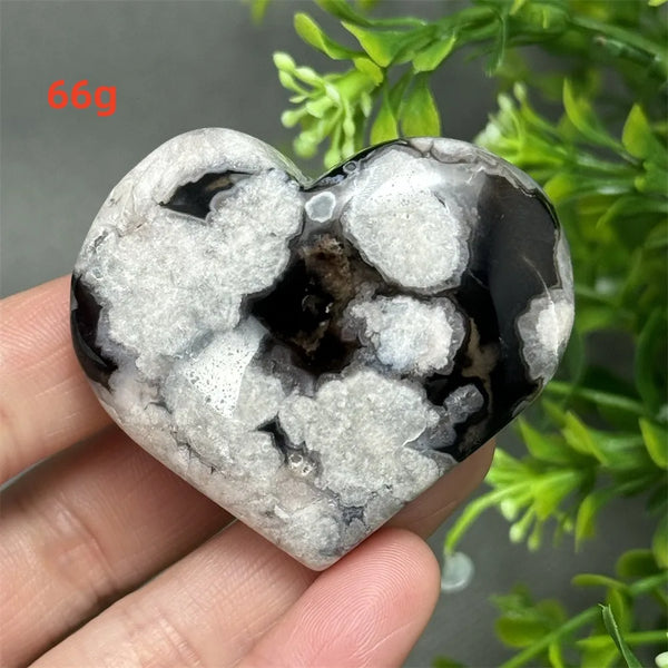 Black Cherry Blossom Agate-ToShay.org