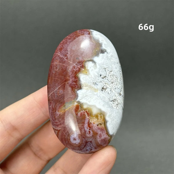 Red Agate Palm Stone-ToShay.org