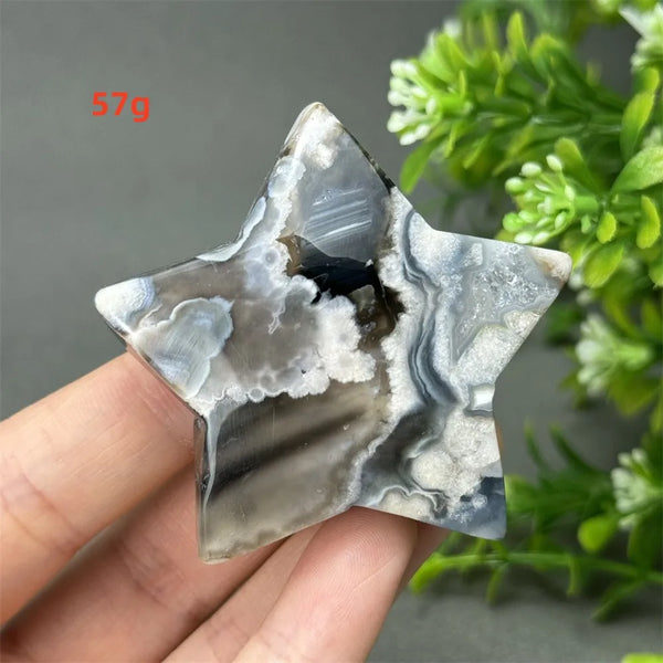 Black Cherry Blossom Agate-ToShay.org