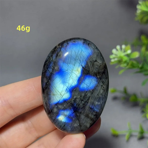 Blue Labrador Palm Stone-ToShay.org