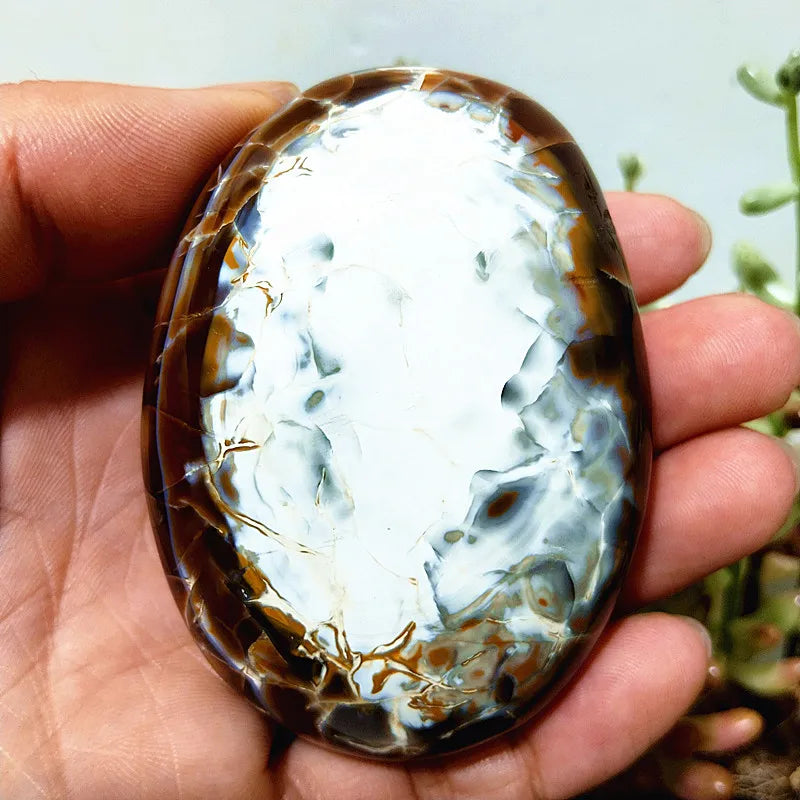 Mixed Lace Sardonyx Agate-ToShay.org