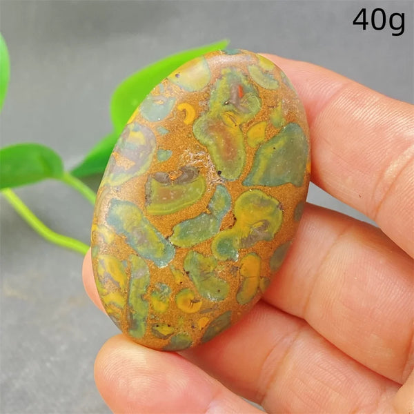 Green Rainforest Palm Stone-ToShay.org