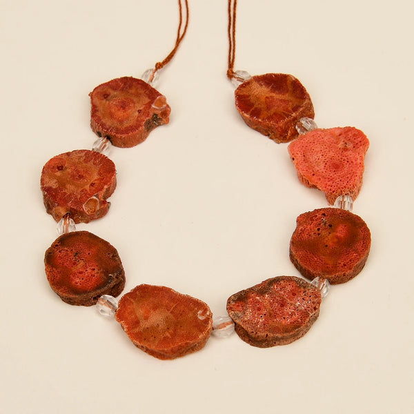 Red Orange Coral Slice-ToShay.org